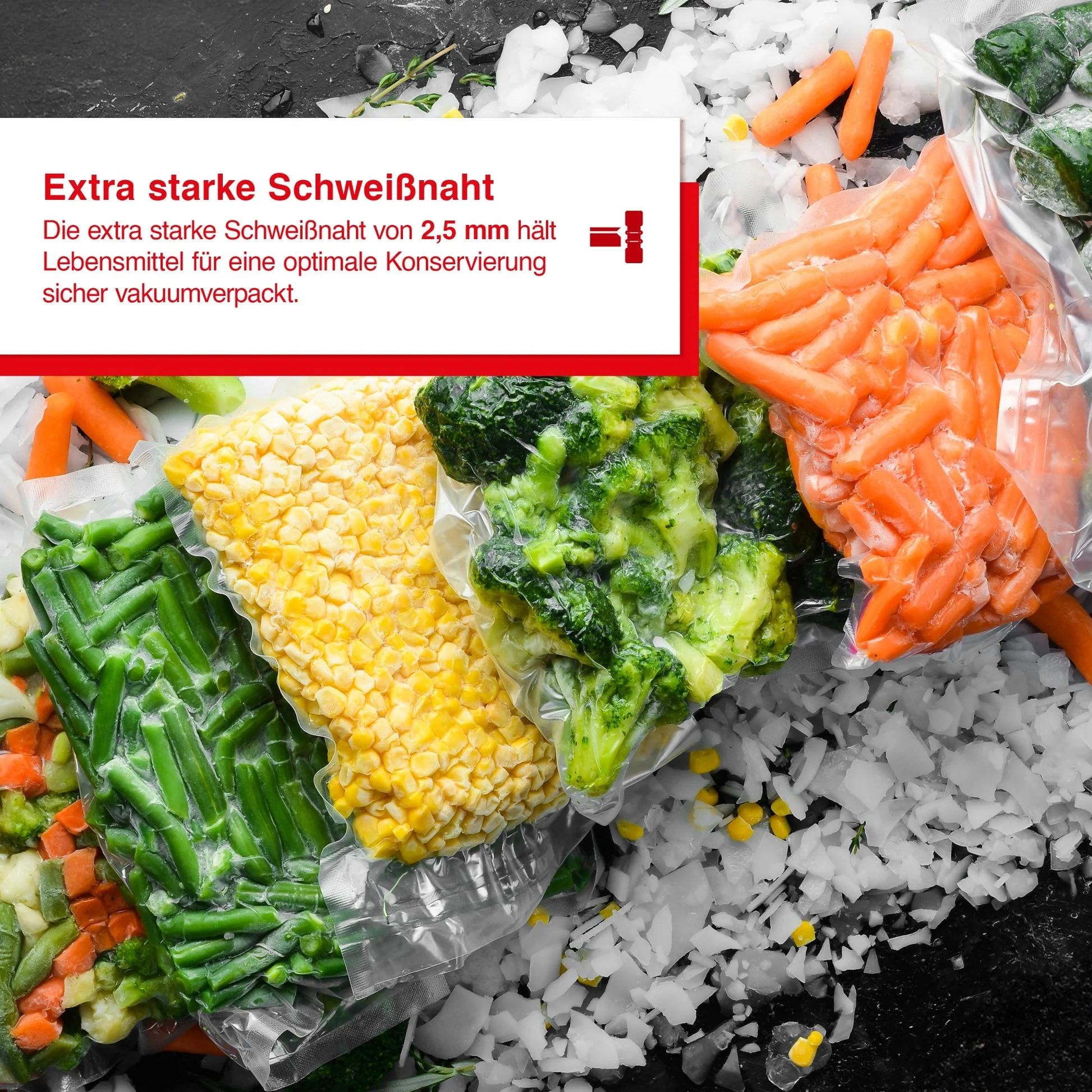 Solis EasyVac Pro (Schwarz) - Image 10